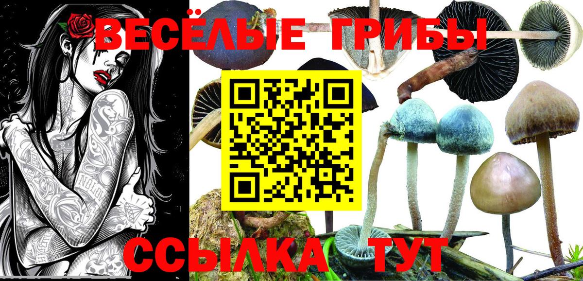 Самара  Псилоцибиновые грибы мухоморы  Вход с VPN 